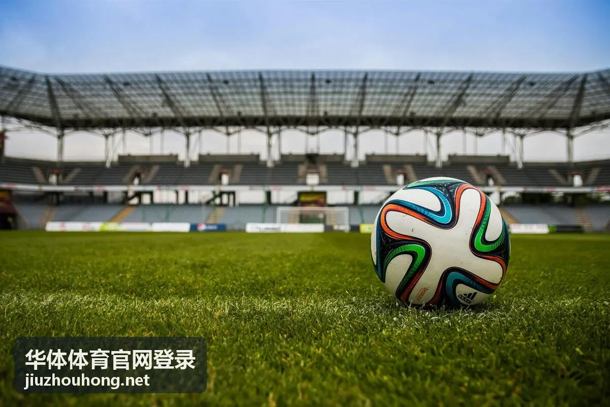 华体体育官网登录入口页面截图示意，便于说明卡在哪一步